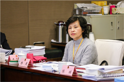 杨燕委员参加上海政协十三届二次会议分组讨论